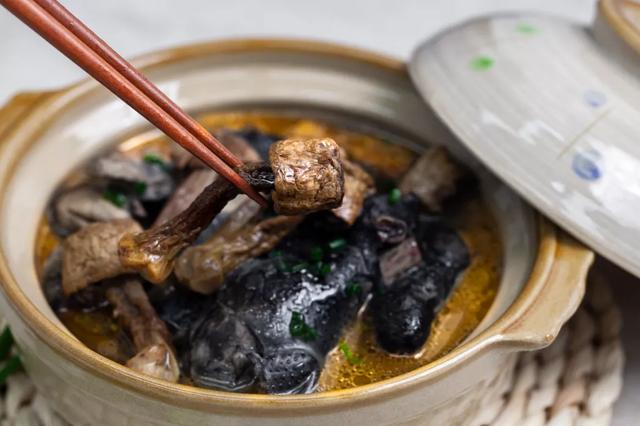 國(guó)家蘑菇地理：中國(guó)哪里的蘑菇最好吃？