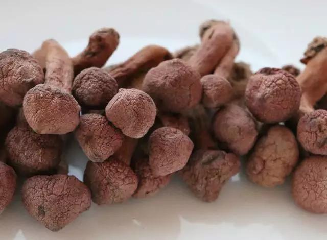 國(guó)家蘑菇地理：中國(guó)哪里的蘑菇最好吃？