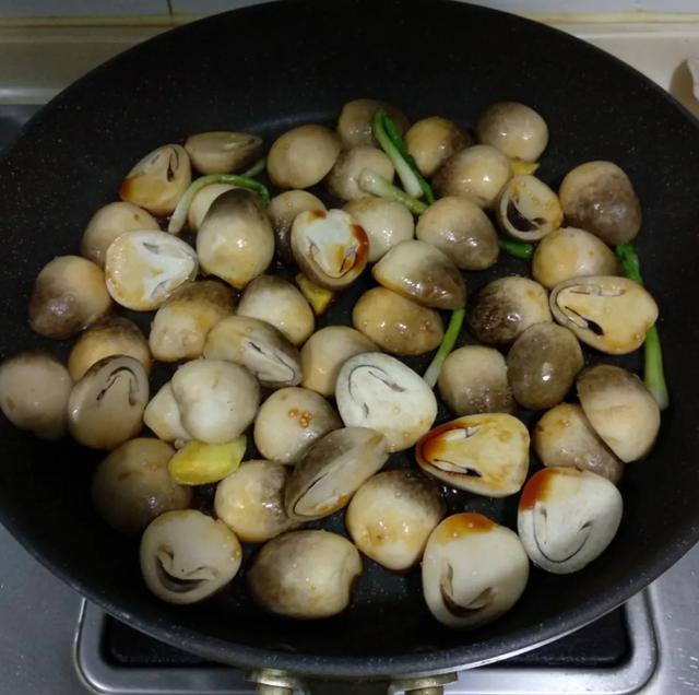 國(guó)家蘑菇地理：中國(guó)哪里的蘑菇最好吃？